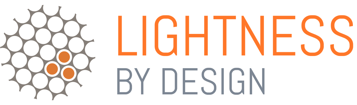 Lightness logo